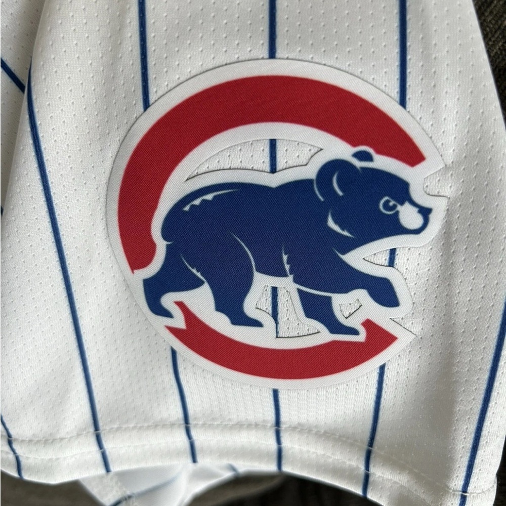 Nike Authentic Pinstripe Chicago Cubs Kyle Tucker #30 MLB Jersey Men’s Sz M - Picture 7 of 8
